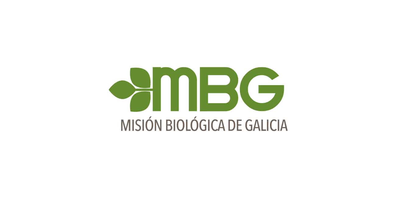 mbg logo