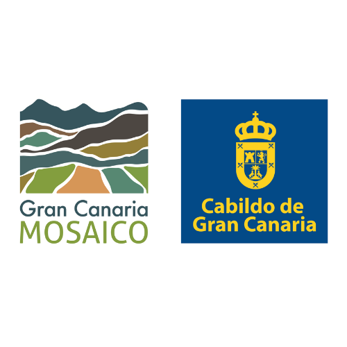 Mosaico Network 7 LOGO GC MOSAICO CON CABILDO COLOR TRANS